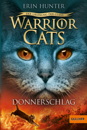 Warrior Cats: Der Ursprung der Clans: Donnerschlag | Bundesamt für magische Wesen