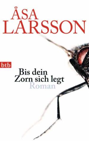 Bis dein Zorn sich legt Roman - Die vielfach ausgezeichnete schwedische Krimi-Serie | Åsa Larsson