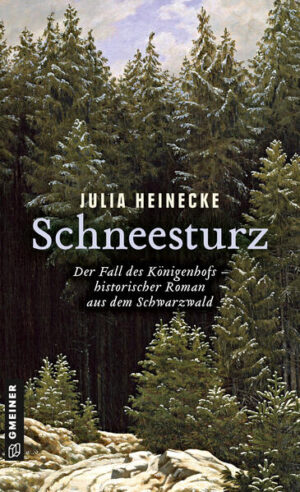 Schneesturz - Der Fall des Königenhofs Historischer Roman aus dem Schwarzwald | Julia Heinecke
