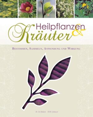 Heilpflanzen lassen sich fast überall in der Natur finden. Doch wie sammelt und bestimmt man die Kräuter, Sträucher und Bäume? Wie vermeidet man Verwechslungen mit giftigen Arten? Welche Pflanzenteile werden gesammelt, und wie werden sie verwendet? In diesem Buch finden Sie mehr als 400 Heilpflanzen, die alle detailliert beschrieben und mit aussagekräftigen Fotos versehen sind. Dank übersichtlicher Tabellen sehen Sie auf einen Blick, welche Heilpflanzen bei bestimmten Beschwerden verwendet werden können. Entdecken Sie den Pflanzenreichtum und die vielfältigen Anwendungsmethoden und Wirkungen, die die Natur uns zur Verfügung stellt.