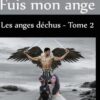 Azazel est le premier des déchus, celui vers qui tout le monde se tourne quand ils ont un problème. Alors quand son ancien voisin lui demande d'héberger une femme en fuite, il accepte sans hésiter. Cette femme va le remuer au plus profond et Azazel va se mettre à espérer le même bonheur que son frère Baraqiel connait avec Caitlyn. Seulement pour y parvenir, chacune de ces deux âmes torturées va devoir faire la paix avec son passé.