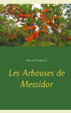 1789, le petit Maximilien Gibodeau est un modeste livreur de foin qui subit les choses. Son amour pour la fille du baron Courtaude est impossible, et il se voit comme le seul habitant d'une île déserte. Mais le petit village de Saint-Bartavelle, sur sa presqu'île de Provence, ne va pas être épargné par les évènements qui frappent le pays, et qui vont peut-être permettre, comme il le souhaite de tout coeur, mettre un peu d'ordre dans un monde dont l'injustice le désespère.