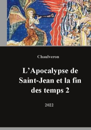 Le présent ouvrage couvre la période allant de 2020 à une date indéterminée dans le futur. Il traitera de la Troisième Guerre mondiale, de la domination du troisième antéchrist, de sa défaite face aux armées du grand monarque et de son allié russe, puis de la paix, de la résurrection des morts et enfin de la Jérusalem céleste. Les deux derniers éléments sont très rarement traités dans les livres sur l'Apocalypse. C'est pour cela que je les analyse dans le détail, en utilisant les connaissances de la psychologie jungienne et ses archétypes universels. Il m'a paru intéressant de rechercher dans l'actualité inépuisable du cinéma et des séries américaines une clef de compréhension. Ce n'est pas un hasard si la thématique des zombis explose actuellement, comme une émanation de l'inconscient collectif pour préparer le chemin. Une chose importante est à retenir, le salut viendra de la France et de la Russie, les deux Nations aux destins messianiques. Ce n'est d'ailleurs pas par hasard si ce sont les plus attaqués par le diable.