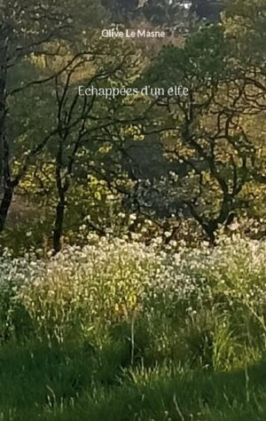 En ville ou au bord de la Laïta, Olive le Masne nous partage le regard unique d'un enfant, petit elfe de la nature. Ce récit en vers libres nous emporte dans une danse légère et poétique au sein d'un royaume où la fragilité est une grâce.