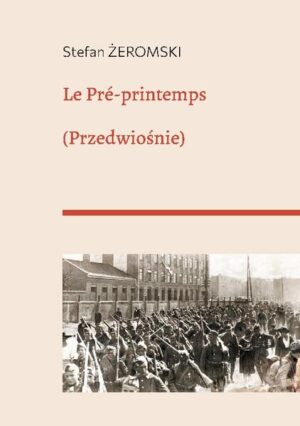 Cezary, jeune citoyen polonais d'un Etat fantôme, voit sa vie bouleversée par la Grande Guerre et la Révolution bolchevique. Il entame sa longue marche vers le remembrement de son âme et de son pays.