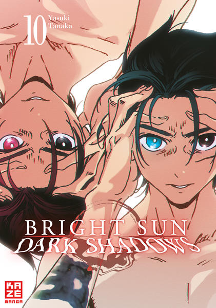 Bright Sun  Dark Shadows  Band 10 | Bundesamt für magische Wesen