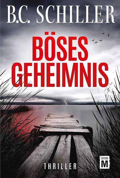 Böses Geheimnis | B.C. Schiller