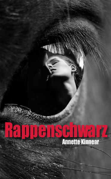 Eine junge Headhunterin mit einer kryptischen Datenbank. Ein gerissener Kidnapper mit einem diabolischen Plan. Ein sensationelles Pferd mit Menschenverstand…auf Kollisionskurs. Headhunterin Catherine Zitgows geheime Datenbank weckt das Interesse einer rätselhaften Gruppierung von Aktivisten. Anfangs unwissend taucht Catherine in diese Welt ab und wird aus Leichtsinn das Opfer einer Entführung. Trost spendet der spektakuläre schwarze Hengst Andalus, aber sein Besitzer, das menschliche Ebenbild des Rappen, ist Drahtzieher der verdeckten Mission. Auf einer abgelegenen Farm in den Bergen ist sie dem Verbrecher ausgeliefert und wird gnadenlos zur Erfüllung eines haarsträubenden Auftrags gezwungen. Zur Eskalation führt ein gescheiterter Ausbruchsversuch auf dem Prachthengst ihres Kidnappers und Catherines Lage spitzt sich unabwendbar zu: Die Dreiecksbeziehung zwischen Geisel, Entführer und Pferd entwickelt sich in rasendem Tempo und Catherine verstrickt sich immer tiefer in eine fatale Leidenschaft. Seelisch und körperlich gefangen, wird sie Teil einer verhängnisvollen Verschwörung…