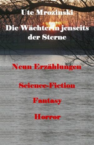 Science und Fiction Abenteuer, Spannung, Dramatik, Horror, auch eine Prise düsterer "Phantastik" ist im Topf Neun Geschichten bilden die Splitter bzw. die Zutaten, die zu einem großen Ganzen führen. Vielleicht sind es die Splitter eines Kometen aus einem anderen Universum, in diesem Falle des Haspiri Universums aus der Trilogie "Der ewige Treck!", dem Einzelroman, "Raumzeitlegende!" Trotzdem bleiben es autonome Geschichten, mit eigenem Reiz. Ebenfalls vertreten sind Erzählungen, "Das Geheul der Wölfe!", "Kein Ausweg. Zu erwähnen wären noch die Bilder am Anfang und zwischen den Texten, die Fotos sind Aufnahmen meines Mannes Albert Mrozinski, die Zeichnung ist von mir selber.