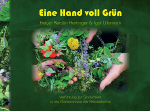 Eine Hand voll Grün Verführung zur Sinnlichkeit in die Geheimnisse der Kräuterküche Freyja Kerstin Hertinger & Igor Warneck Durch phantasievolle Rezepte, traditionell nach den Jahreszeiten strukturiert und stimmungsvolle Impressionen von Natur und Speise erschafft die Autorin Freyja Kerstin Hertinger gemeinsam mit den geheimnisvollen Bildern des Photographen Igor Warneck den Zugang in eine andere universelle Kräuterküche. Mit aussergewöhnlichen und wilden Pflanzenzutaten, mit ebenso raffinierten, wie natürlich einfachen Techniken, erfahrungsintensiven Mengenangaben und zauberhaften Collagen wird der Leser, die Leserin, von der klassischen Kräuterküche, zu neuen Stufen geschmackvoller Kompositionen, in die Geheimnisse der alchemistischen Küchenmagie geführt. Es vermittelt Mut, schenkt Selbstvertrauen und macht Lust, überraschend sinnliche Kreationen zu entdecken, zu schmecken und mit ihnen zu experimentieren, was genussvolle Freiheit bedeutet. So wird das Kennenlernen, die Zubereitung und das Kombinieren mit wilden Pflanzen, exotischen Kräutern und Gewürzen zum erlebnisreichen, wirkungsstarken und unendlich liebevollen grünen Küchenabenteuer. 110 Seiten DIN A 4 Querformat, Hardcover gebunden, mit Folieneinband, Lesebändchen, 277 phantastischen Fotos und Collagen mit über 70 RezeptIdeen und vielen Tipps aus der Kräuterküche ISBN 978-3-00-053399-0 im Handel 24.- € plus 2.- € Porto bei Versand direkt beim verlag freyjaskessel - auf Wunsch gerne mit Widmung der Autorin l Neuerscheinung: Eine Hand voll Grün verlag freyjaskessel Kostenloses Veranstaltungs programm bei FREYJA Kerstin Hertinger Telefon 09554 8161 info@kraeuternetz.de www.kraeuternetz.de www.pflanzenkreis.de -Märkte -Ausstellungen -Kräuterhof & Garten -AusbildungsZentrum --Öffnungszeiten Dienstags, 10-18 Uhr und nach Absprache -Marktstraße 26 96181 Rauhenebrach OT Prölsdorf