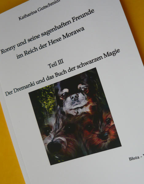 Ronny und seine sagenhaften Freunde im Reich der Hexe Morawa III | Bundesamt für magische Wesen