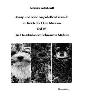 Ronny und seine sagenhaften Freunde im Reich der Hexe Morawa Teil IV Die Heimtücke des Schwarzen Müllers Krabat und der Schwarze Müller sind erwacht. Kommt es zu einem erneuten Kampf? In der Zwischenzeit hat Morawa eine Hochbegabtenklasse gegründet. Diese besteht aus Schülern mit speziellen Kräften. Morawa ist auf der Suche nach neuen Allianzen, um ihre Macht zu stärken. Wer wird mit der bösen Hexe zusammenarbeiten? Wie ist es den Freunden von Ronny ergangen? Siegt das Böse über Burg? Oder kann Ronny die schwarze Magie endgültig aus Burg verbannen? Was passiert mit der Schwarzen Mühle?