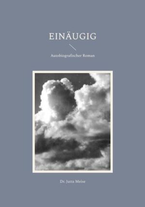 Warum durfte Heidrun nur 12 Stunden leben? Hanna, Anfang 60, ist als Einzelkind aufgewachsen, doch sie weiß, dass sie eine eineiige Zwillingsschwester gehabt hat. Heidrun verstarb jedoch am Tag ihrer Geburt. Warum? Je älter Hanna wird, desto öfter denkt sie über diese Frage nach. Bis sie auf dem Dachboden auf alte Dokumente stößt, die ihr Interesse an Heidruns Schicksal verstärken - ein Fund, den sie zunächst für puren Zufall hält. Und schnell spürt sie, dass sie mehr über Heidrun in Erfahrung bringen möchte. Eine Beobachtung auf dem Friedhof, wo sich einst das Kindergrab ihrer Schwester befand, lässt in Hanna eine Idee keimen. Und sie nimmt zu Heidrun Kontakt auf, der zunächst nur durch Zeichen beantwortet wird. Um mehr zu erfahren, begibt sich Hanna auf die Suche nach Heidruns irdischen Spuren und findet Erstaunliches heraus. Aber dabei wird es nicht bleiben! Heidrun kann ihre Schwester im Diesseits besuchen. Drei Tage lang dürfen sie die "einäugigen" Zwillingsschwestern sein, die sie nach ihrer Geburt nie sein durften. Ein Geschenk, das Hanna von ihrer Schwester erhält, wird beider Leben entscheidend verändern.