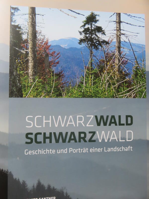 Schwarzwald, Schwarzwald, Geschichte und Porträt einer Landschaft | Dr. Volker Gantner