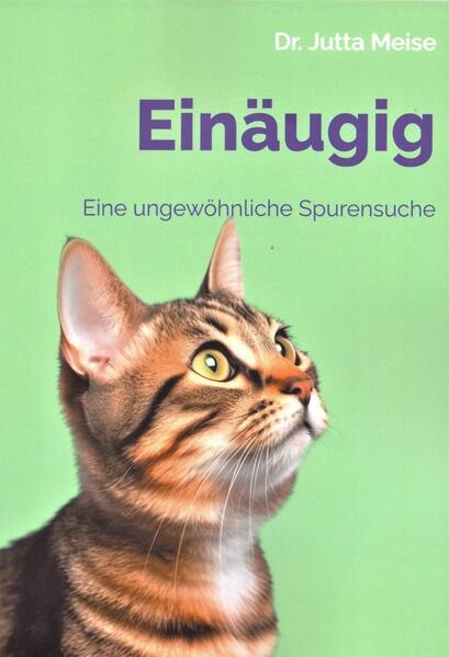 Hanna, Anfang 60 und passionierte Katzen-Liebhaberin, ist als Einzelkind aufgewachsen, doch sie weiß, dass sie eine eineiige Zwillingsschwester gehabt hat. Heidrun verstarb am Tag ihrer Geburt. Warum? Je älter Hanna wird, desto öfter denkt sie über diese Frage nach. Bis sie auf dem Dachboden auf alte Dokumente stößt, die ihr Interesse an Heidruns Schicksal verstärken - ein Fund, den sie zunächst für puren Zufall hält. Und schnell spürt sie, dass sie mehr über Heidrun in Erfahrung bringen möchte. Eine Beobachtung auf dem Friedhof, wo sich einst das Kindergrab ihrer Schwester befunden hat, lässt in Hanna eine Idee keimen. Und sie nimmt Kontakt zu Heidrun auf. Um mehr zu erfahren, begibt sie sich auf die Suche nach Heidruns irdischen Spuren und findet Erstaunliches, aber auch Erschreckendes heraus. Doch dabei wird es nicht bleiben, Heidrun kann ihre Schwester im Diesseits besuchen. Drei Tage lang dürfen sie die "einäugigen" Zwillingsschwestern sein, die sie nach ihrer Geburt nie sein konnten. Ein Geschenk, das Hanna von ihrer Schwester erhält, wird beider Leben verändern.