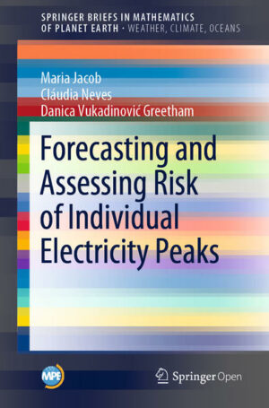 Forecasting and Assessing Risk of Individual Electricity Peaks | Bundesamt für magische Wesen