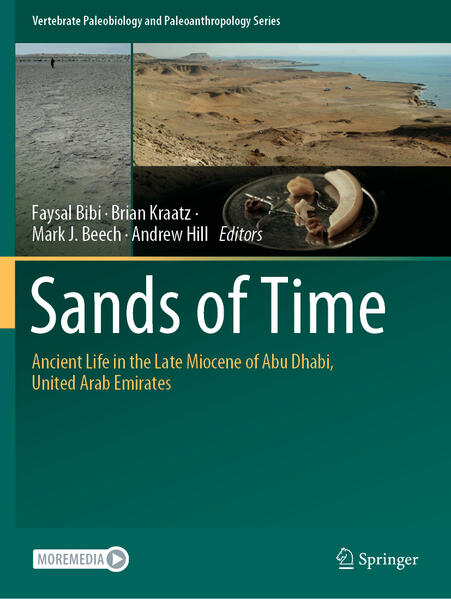 Sands of Time | Faysal Bibi, Brian Kraatz, Mark J. Beech, Andrew Hill
