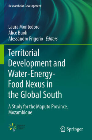 Territorial Development and Water-Energy-Food Nexus in the Global South | Laura Montedoro, Alice Buoli, Alessandro Frigerio