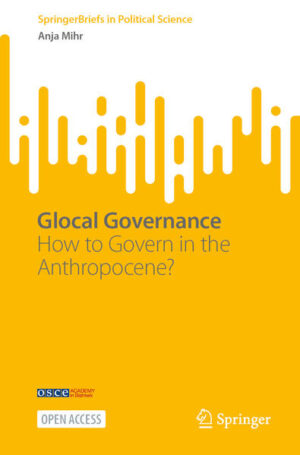 Glocal Governance | Anja Mihr