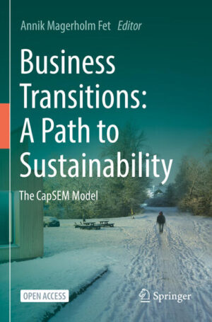 Business Transitions: A Path to Sustainability | Annik Magerholm Fet