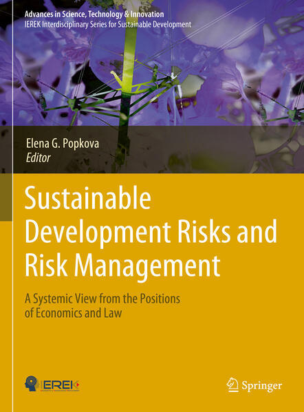 Sustainable Development Risks and Risk Management | Elena G. Popkova