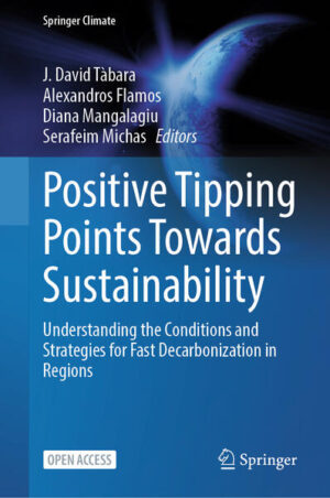 Positive Tipping Points Towards Sustainability | J. David Tàbara, Alexandros Flamos, Diana Mangalagiu, Serafeim Michas