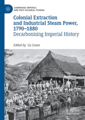 Colonial Extraction and Industrial Steam Power, 1790-1880 | Liz Conor