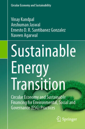 Sustainable Energy Transition | Vinay Kandpal, Anshuman Jaswal, Ernesto D.R. Santibanez Gonzalez, Naveen Agarwal