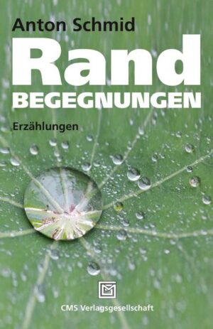 Träume und Hoffnungen von unterschiedlichen Menschen leuchten am Rande auf. Gemeinsam ist ihnen die Sehnsucht nach Achtung und Anerkennung. Neue Begegnungen führen aus Ausgrenzungen und Einsamkeit. Das damit verbundene Leid wird sichtbar, aber auch die verborgenen Qualitäten und die feinen menschlichen Charakterzüge, zum Beispiel bei: "Eine Sonnenblume für Ali" oder "Lehmgrubennoldi".