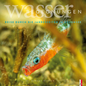 Die Wasseroberfläche des Bodensees trennt zwei Welten. Jene hier oben ist uns vertraut, lieblich, oftmals malerisch. Unten verbirgt sich eine Wunderwelt, die nur wenige Menschen entdecken dürfen. Auf den ersten Blick zeigt sie sich noch vermeintlich dunkel, unnahbar und kalt. Abgetaucht offenbart sich je nach Jahreszeit eine unterwartete Vielfalt an Leben, üppig, still, bunt, lichtdurchflutet, ausschweifend. Manchmal unmittelbar, manchmal erst auf den zweiten Blick. Erstmals zeigt ein Bildband die Bodensee-Unterwasserwelt. Die Jahreszeiten lassen sich auch unter Wasser erleben. Der Multimediajournalist Robert Hansen nimmt mit auf eine einjährige Reise durch den Bodensee. Er tauchte Tag und Nacht, verweilte für den Bildband über 250 Stunden unter Wasser, holt die Augenblicke an die Oberfläche. Das Buch nimmt jeden Monat ein Schwerpunktthema auf, beschreibt die Lebensweise von Fischen, Schnecken, Muscheln und Wasservögeln, zeigt einen 1864 gesunkenen Schaufelraddampfer und die Vielfalt der Wasserpflanzen. Das Buch erklärt, welche Auswirkungen Lebewesen auf Fauna und Flora haben, die ursprünglich nicht im Bodensee heimisch waren. Der Bildband eröffnet den bunten Mikrokosmos und präsentiert großflächig, was keinen Millimeter klein ist. Der Autor erzählt die Geschichten der Unterwasserbegegnungen und porträtiert Menschen, die durch ihren Beruf mit den Wasserwelten in unterschiedlichster Form verbunden sind.