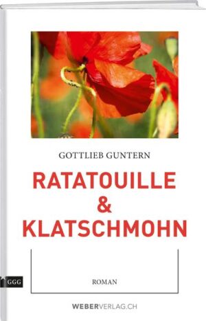 Der Alkoholiker und hochbegabte Musiker Ratatouille flüchtet aus der psychiatrischen Klinik und trifft seine bildhübsche Nichte Cocco, die durchs Abitur gesaust ist und grandiose Karrierepläne hegt. Sie gründen die Rockband FÖHNWALZE. Ratatouilles Song DIE GROSSE VERWEIGERUNG produziert eine Pandemie: Die Helvetier rebellieren gegen ihre traditionellen Rollen. Das Räderwerk der Nation steht still. Die Schweiz ist verhext. Die Luxus-Domina Martha ist Impresario der FÖHNWALZE und sorgt in Interviews bei BBC und CBS für schwerste diplomatische Krisen. Der Bundesrat reagiert zuerst mit Härte, optiert dann für die traditionelle Vogel-Strauss-Politik und verbarrikadiert sich im Militär-Bunker des Gotthard-Massivs. Schnaps und Kaffee inspirieren: Via Exorzismus soll der Papst auf dem Paradeplatz in Zürich den Teufel austreiben. Die turbulente satirische Komödie schildert, wie schnell rationales Denken ins Absurde umschlagen kann.