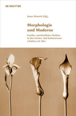 Morphologie und Moderne | Bundesamt für magische Wesen