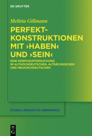 Perfektkonstruktionen mit haben und sein | Bundesamt für magische Wesen