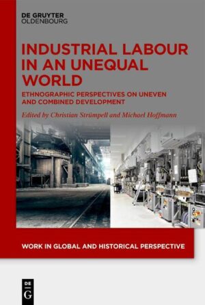 Industrial Labour in an Unequal World | Christian Strümpell, Michael Hoffmann