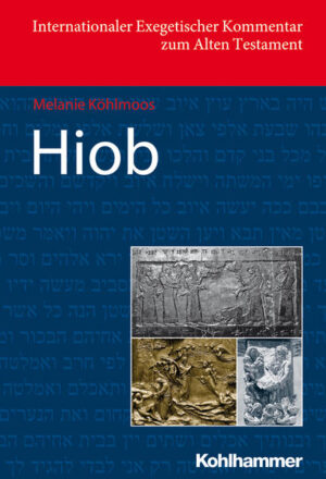 Der Kommentar geht der literarischen Gestalt und darin dem theologischen Gehalt des Hiobbuches nach. Er ordnet die Hiobdichtung den weiteren Literaturen des Alten Testaments zu und integriert auch die griechische und aramäische Textüberlieferung in die Auslegung. Ein besonderer Akzent liegt auf der rezeptionsorientierten Lektüre.