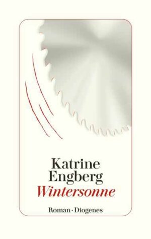 Wintersonne Der Kopenhagen-Krimi | Katrine Engberg