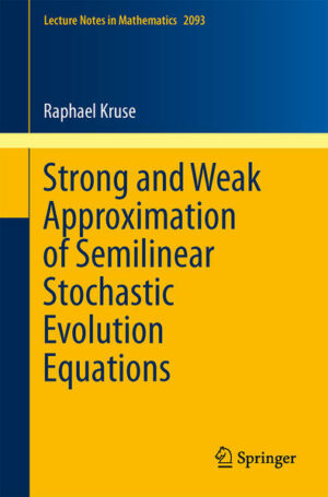 Strong and Weak Approximation of Semilinear Stochastic Evolution Equations | Bundesamt für magische Wesen