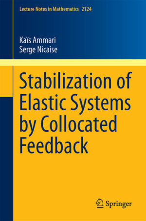 Stabilization of Elastic Systems by Collocated Feedback | Bundesamt für magische Wesen