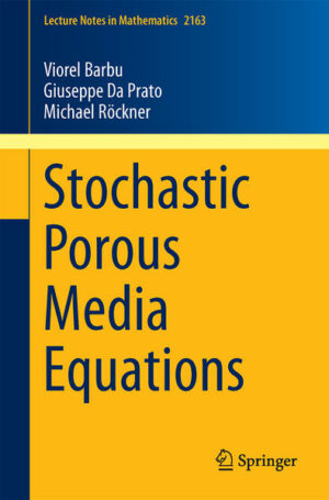 Stochastic Porous Media Equations | Bundesamt für magische Wesen