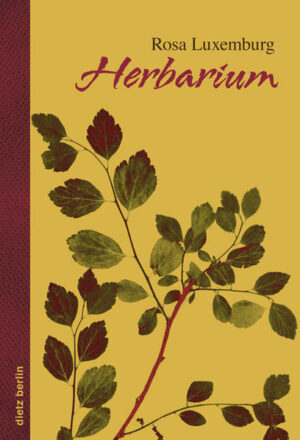 Herbarium | Bundesamt für magische Wesen