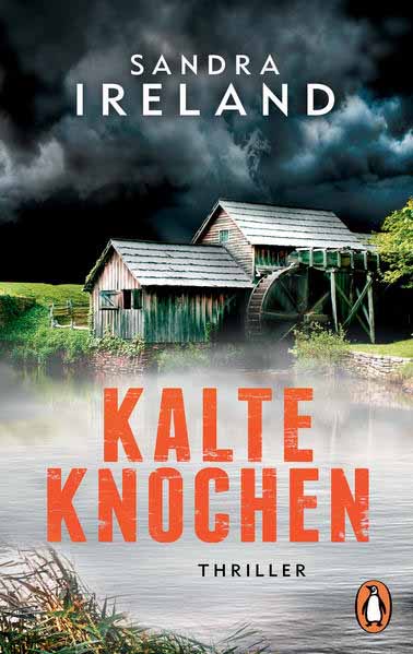 Kalte Knochen | Sandra Ireland