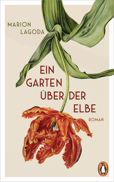 Atmosphärisch und eindrücklich - eine Frau verwirklicht ihren Traum eines Gartens hoch über der Elbe, der später weltberühmt wird Hamburg, 1913: Als Hedda ihre Stelle als Obergärtnerin bei der jüdischen Bankiersfamilie Clarenburg antritt, hat sie es nicht leicht. Auf dem parkähnlichen Anwesen oberhalb der Elbe ist sie die erste Frau auf diesem Posten und wird von den ausschließlich männlichen Kollegen entsprechend kritisch beäugt. Auch körperlich wird ihr viel abverlangt, denn das Anwesen über der Elbe ist riesig, und der Erste Weltkrieg fordert ihr gärtnerisches Können noch einmal besonders heraus. Trotzdem gelingt es Hedda, hier ihren gärtnerischen Traum zu verwirklichen - bis hin zum Amphitheater im römischen Stil, das zum Mittelpunkt prachtvoller Feste und Theateraufführungen wird. Doch als sich in den 1930er Jahren die Zeiten verdüstern, geraten sowohl Hedda, die jüdische Vorfahren hat, als auch die Familie Clarenburg immer mehr in Bedrängnis. Lebendig und mit faszinierenden Pflanzenbeschreibungen erzählt Marion Lagoda das Leben der Frau nach, deren wahrer Name Else Hoffa lautete und die als Obergärtnerin der Familie Warburg den berühmten Römischen Garten in Hamburg-Blankenese anlegte. Inspirierend und kenntnisreich - das ideale Geschenk für Gartenliebhaber*innen.