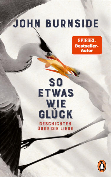 So etwas wie Glück | Bundesamt für magische Wesen