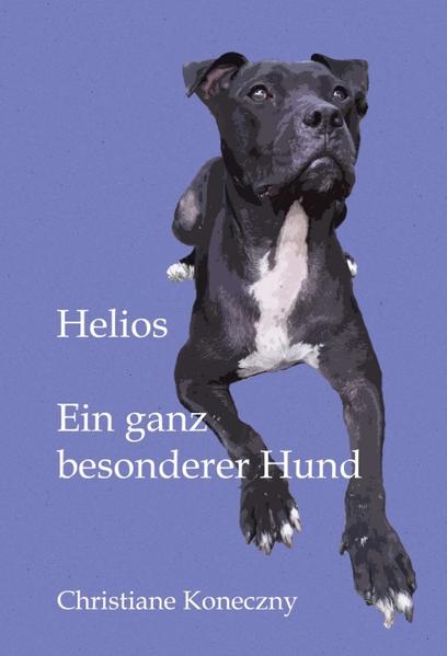 Die Geschichte von Helios, der schwer verletzt mit einem Pferdestrick an einem Zaun angebunden aufgefunden wurde und seitdem seinem menschlichen Adoptivrudel so manche Überraschung präsentiert hat. Er macht die Hundehaltung zu keinem alltäglichen Unterfangen, aber dieser tolle Kampfschmuser ist es wert!