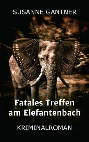 Der dritte Fall von Heiri Stampfli, Ermittler bei der Kantonspolizei Zürich. Ein Mann wird in seinem Bett ermordet, der Einbrecher in flagranti geschnappt. Der Fall scheint eindeutig. Aber ist er das wirklich? Stampflis Bauchgefühl sagt nein! Ein rasanter Krimi, der Eritrea und die Schweiz verbindet. Es geht um Liebe und Treue bis zum Tod.