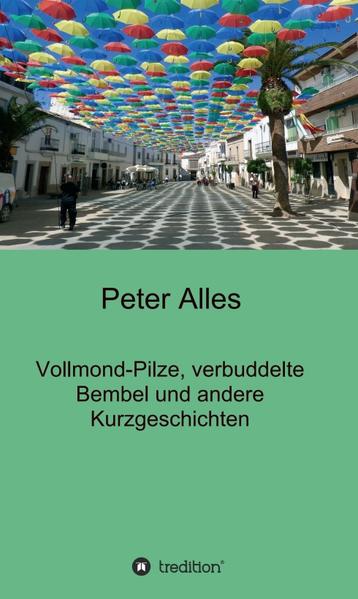 In seinem Buch erzählt der Autor in 34 Kurzgeschichten Erlebnisse aus 36 Jahren seines Lebens, die er oft auf Reisen erfahren hat. Die meisten sind entweder lustig, peinlich, grotesk oder komisch, auf jeden Fall aber einzigartig. Viele Geschichten hat er mit Gedanken über die gemachten Erfahrungen sowie weitergehenden Erkenntnissen angereichert, die zum Nachdenken anregen. Sein Ziel ist es, den Leser zum Schmunzeln zu bringen oder zu trösten, da er sicherlich teilweise ähnliche Erlebnisse und Gedanken gehabt haben dürfte.