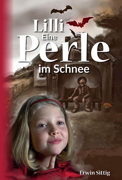 Wir begleiten über die Jahre 1955 bis 2017 mehrere Personen in Ostdeutschland, deren Schicksale miteinander verflochten sind. Da gibt es Josef, der an einer verlorenen Liebe zerbricht und sich zum mürrischen Greis entwickelt. Martha und ihre Geliebte, die ihre Beziehung geheimhalten müssen, bis ihnen die gesellschaftlichen Bedingungen den Weg frei machen. Jutta, die als Kind ausgesetzt wird, eine Pflegefamilie findet und wegen eines Verbrechens erneut die Eltern verliert. In der Folge durchlebt sie Kinderheim, Jugendwerkhof und geschlossenen Jugendwerkhof. Das Paar Egon und Brunhilde, das sein Familienglück in einer Adoption sucht. Dann ist da die junge Frau Sabine, die viele Jahre im Kinderheim der Nachwendezeit verbrachte und später mit ihrer kleinen Tochter Lilli ihr Leben einigermaßen in den Griff bekommt. Melanie, die ihrem Samaritertrieb folgt, sich an einen psychisch instabilen Mann bindet und dann doch ihre beiden Kinder ohne ihn großzieht. Der Detektiv Peter Hahn, zu einer Familienzusammenführung beauftragt, recherchiert in diesen Leben, worauf alles in der kleinen Lilli zusammenläuft, die sich mit Humor, Unvoreingenommenheit und Warmherzigkeit als Seelenheiler versucht. Ihr Frohsinn und ihre Unbefangenheit, mit einer Portion Weisheit, stecken an. Ein langer Weg, mit tragischen Entscheidungen und Einblicken in zum Teil chaotische Gefühlswelten der Akteure aus vier Generationen.