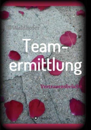 Teamermittlung Vertrauensbrüche | Jill Waldhofer