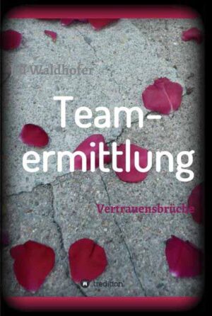 Teamermittlung Vertrauensbrüche | Jill Waldhofer