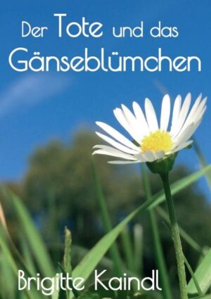 Die 25-jährige Musikerin Dora blickt auf schmerzhafte Zeiten zurück. Jahre zuvor erlitt ihr Lebensgefährte Dieter auf offener Bühne einen Herzstillstand. Aber sie findet neuen Lebensmut und kann endlich wieder vor Publikum singen. Dora freut sich nach einem erfüllten Tag auf die Heimkehr zu ihrem Mann. Markus soll sie wie immer chauffieren, doch auf dieser Fahrt wird sie entführt und in einer einsamen Hütte am Waldrand festgehalten. Gemeinsam mit Markus. Dora hat den jungen Mann eigentlich immer gemocht, doch nun weiß sie nicht, ob sie ihm vertrauen kann. Irgendetwas scheint er zu verbergen ... Dieser Roman setzt sich mit Alkoholmissbrauch und Gewalt in der Familie auseinander. Erzählt wird eine bittersüße Geschichte über Freundschaft, Vertrauen und Liebe sowie die heilende Kraft der Musik.